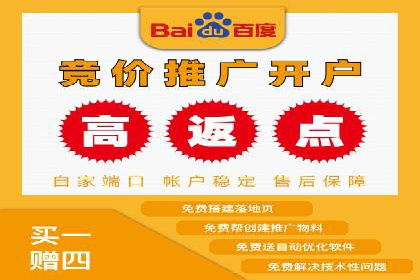 百度竞价包年案例：揭秘高效广告投放秘诀
